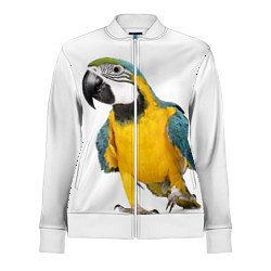 Олимпийка женская Попугай ара, цвет: 3D-белый