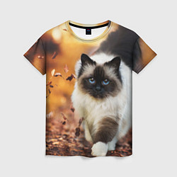 Женская футболка Котик в листьях