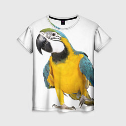 Женская футболка Попугай ара