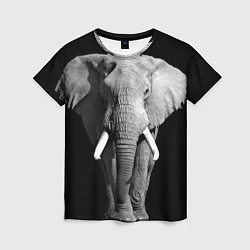 Женская футболка Старый слон