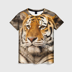 Женская футболка Мудрый тигр