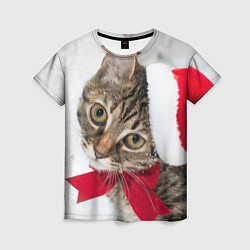 Женская футболка Новогодний кот в колпаке