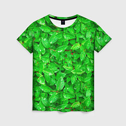 Женская футболка Зелёные листья - текстура