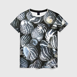 Женская футболка Паттерн из океанских ракушек