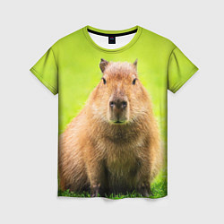 Футболка женская Capybara on green grass, цвет: 3D-принт