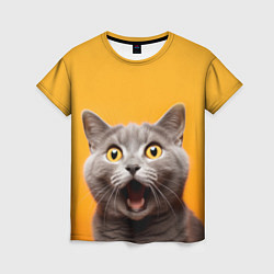Женская футболка Удивленный кот