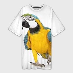 Женская длинная футболка Попугай ара