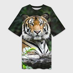 Женская длинная футболка Тигр в джунглях