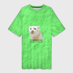 Женская длинная футболка Приемлемо кот мем