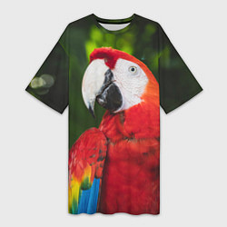Женская длинная футболка Красный попугай Ара