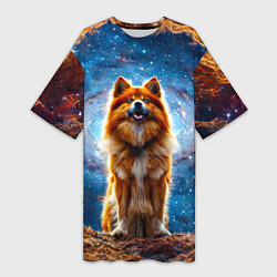 Женская длинная футболка Финский лаппхунд в космосе