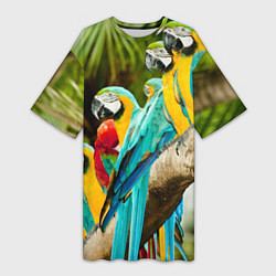 Женская длинная футболка Попугаи на ветке