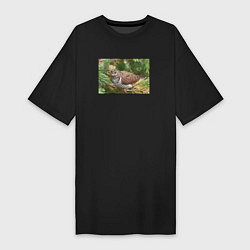 Женская футболка-платье Кукушка в ветках ели