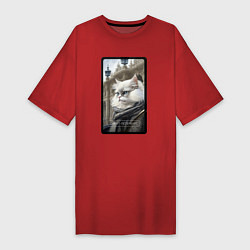 Женская футболка-платье Санкт-Петербург котик