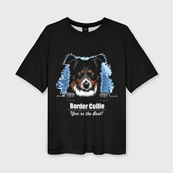 Женская футболка оверсайз Бордер-Колли Border-Collie