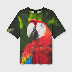 Женская футболка оверсайз Красный попугай Ара