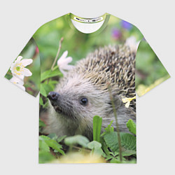 Футболка оверсайз женская Лесной ёжик в траве, цвет: 3D-принт