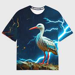 Футболка оверсайз женская Аист и гроза, цвет: 3D-принт