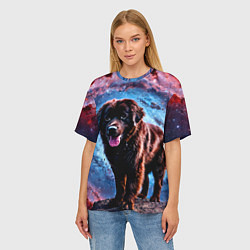 Футболка оверсайз женская Ньюфаундленд в космосе, цвет: 3D-принт — фото 2