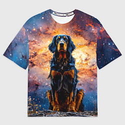 Футболка оверсайз женская Сеттер в космосе, цвет: 3D-принт