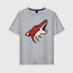 Футболка оверсайз женская Phoenix Coyotes, цвет: меланж