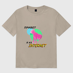 Футболка оверсайз женская Привет я из internet, цвет: миндальный