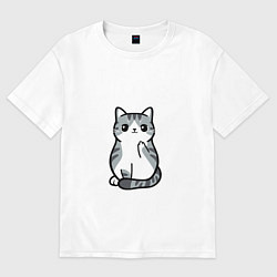 Женская футболка оверсайз I Don't Give A Meow