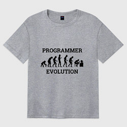 Футболка оверсайз женская Эволюция программиста, цвет: меланж