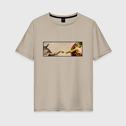 Женская футболка оверсайз Шрек: Сотворение ослика