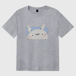 Футболка оверсайз женская Удивленный Тоторо, цвет: меланж