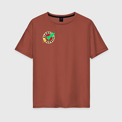 Женская футболка оверсайз Футурама - Межпланетный экспресс