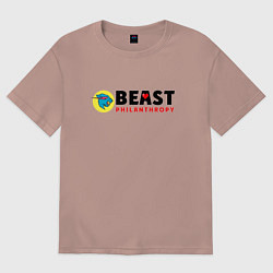 Футболка оверсайз женская Mr Beast Philanthropy, цвет: пыльно-розовый