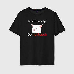 Футболка оверсайз женская Not friendly, do not touch, текст с мемным котом, цвет: черный