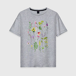 Женская футболка оверсайз Полевые растения цветы ботаника