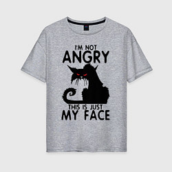 Футболка оверсайз женская I am not angry cat, цвет: меланж