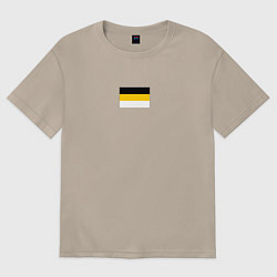Футболка оверсайз женская Rus empire minimalism, цвет: миндальный