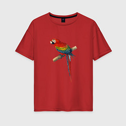 Женская футболка оверсайз Попугай ara macaw