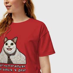 Футболка оверсайз женская Мемный кот Бу, цвет: красный — фото 2