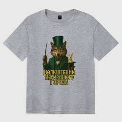 Женская футболка оверсайз Волшебник Изумрудного города