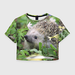 Женский топ Лесной ёжик в траве