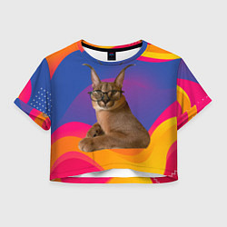 Женский топ Мем кот Шлепа