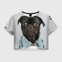 Женский топ Мопс в джинсовке - голова групно