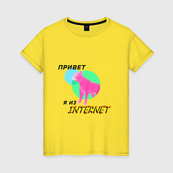 Женская футболка Привет я из internet