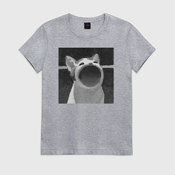 Футболка хлопковая женская ЧБ Pop Cat, цвет: меланж