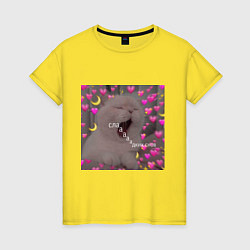 Женская футболка Мем котик