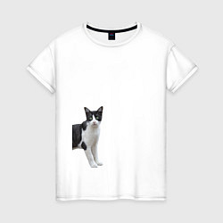 Женская футболка Смотрящая кошка