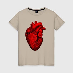 Женская футболка Сердце анатомическое