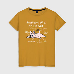 Женская футболка Анатомия кошки сфинкса