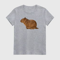 Женская футболка Капибара сидит и спит