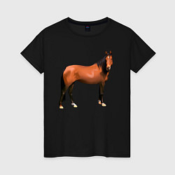 Женская футболка Теплокровная лошадка